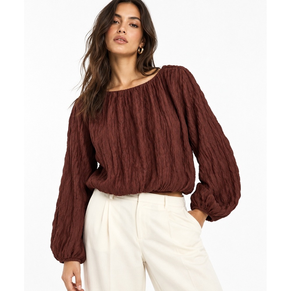 H&M Women Brown Crinkled Seersucker Cropped Long Sleeve Blouse Size S NWT